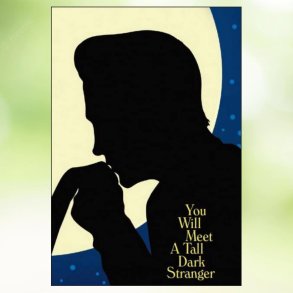 You Will Meet a Tall Dark Stranger (2010)