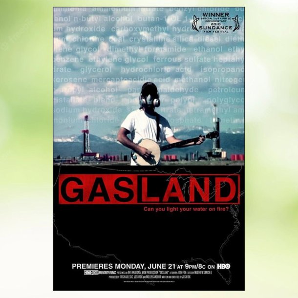 Gasland (2010)