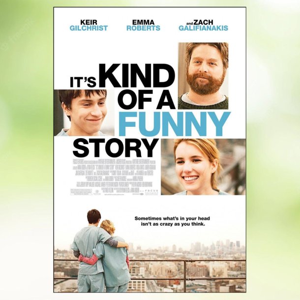 It's Kind of a Funny Story  (2010)
