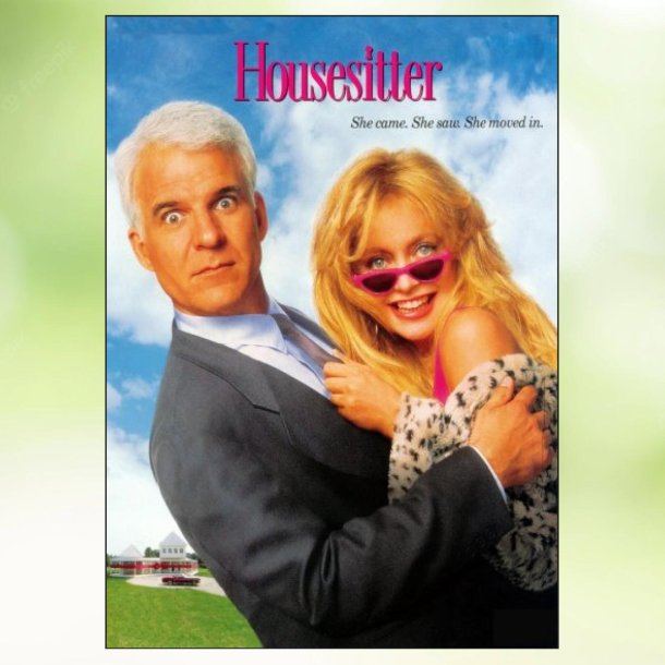 Housesitter (1992)