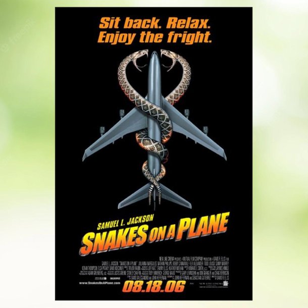 Snakes On A Plane (2006)