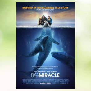 Big Miracle (2012)