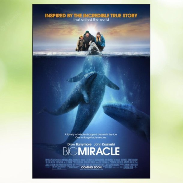 Big Miracle (2012)