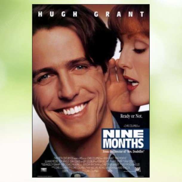 Nine Months (1995)