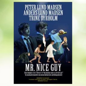 Mr. Nice Guy (2004)