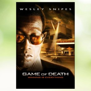 Game of Death (2010)