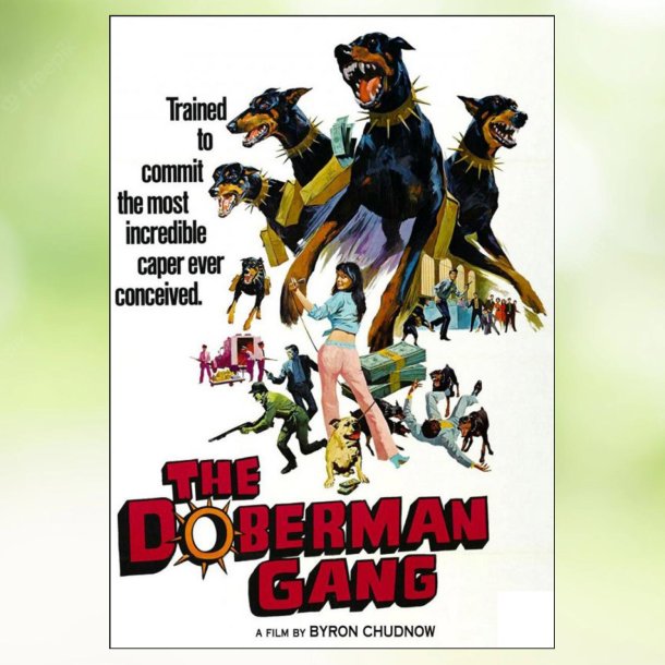 The Doberman Gang (1972)