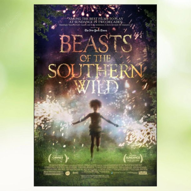 Beasts of the Southern Wild (2012)