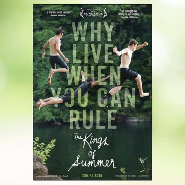 The Kings of Summer (2013)