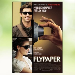 Flypaper (2011)