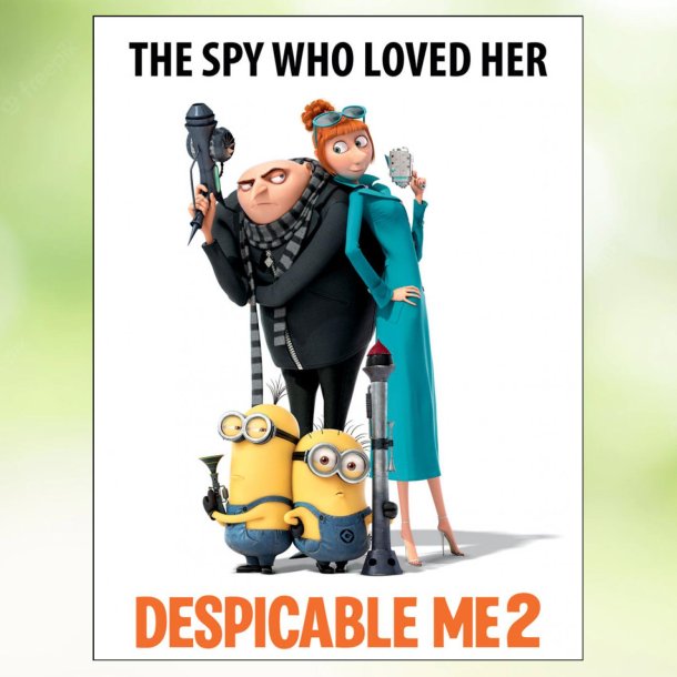 Despicable Me 2 (2013)