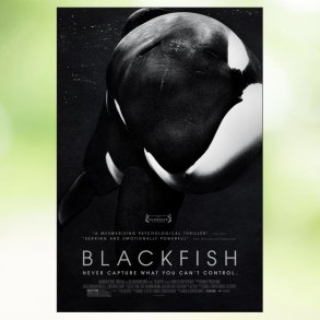 Blackfish (2013)