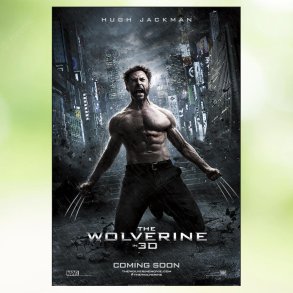 The Wolverine (2013)