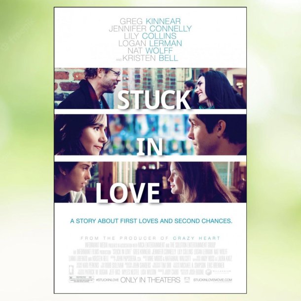Stuck in Love (2012)