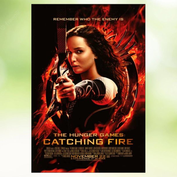 The Hunger Games: Catching Fire (2013)