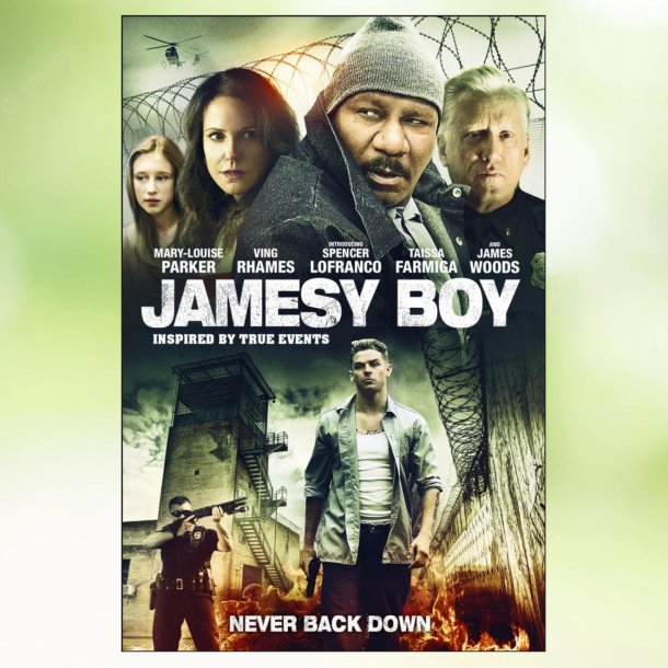 Jamesy Boy (2014)