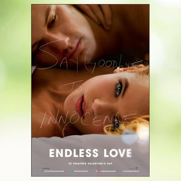 Endless Love (2014)