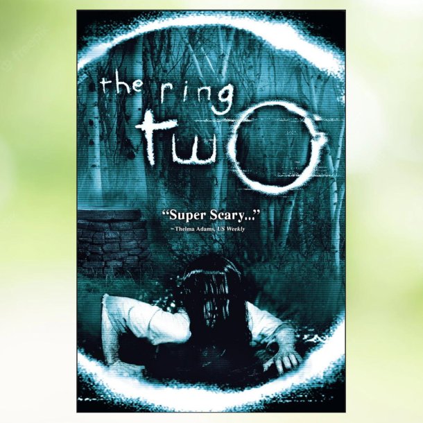 The Ring Two (2005)