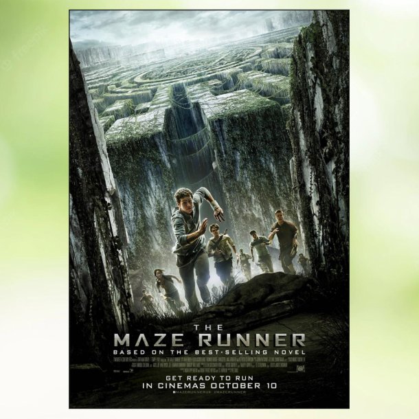 The Maze Runner (2014)