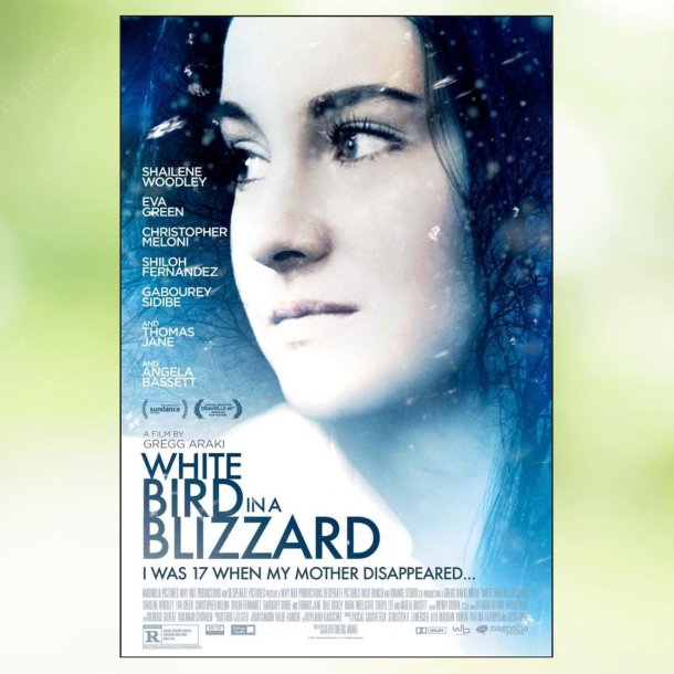 White Bird in a Blizzard (2014)