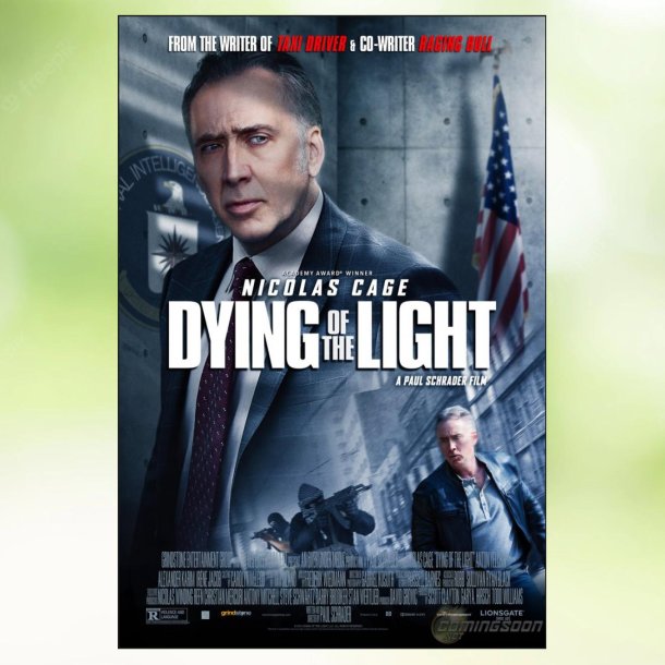 Dying of the Light (2014)