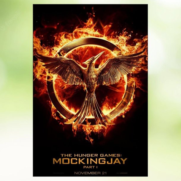 The Hunger Games: Mockingjay - Part 1 (2014)