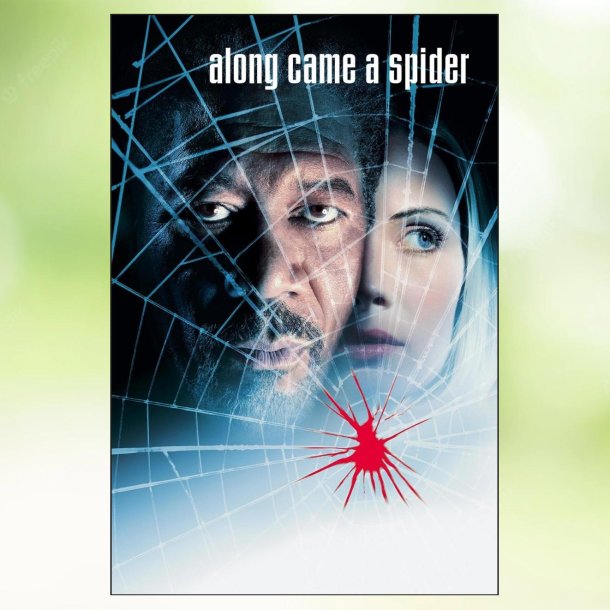 Along Came a Spider (2001)