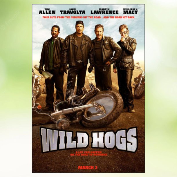 Wild Hogs (2007)