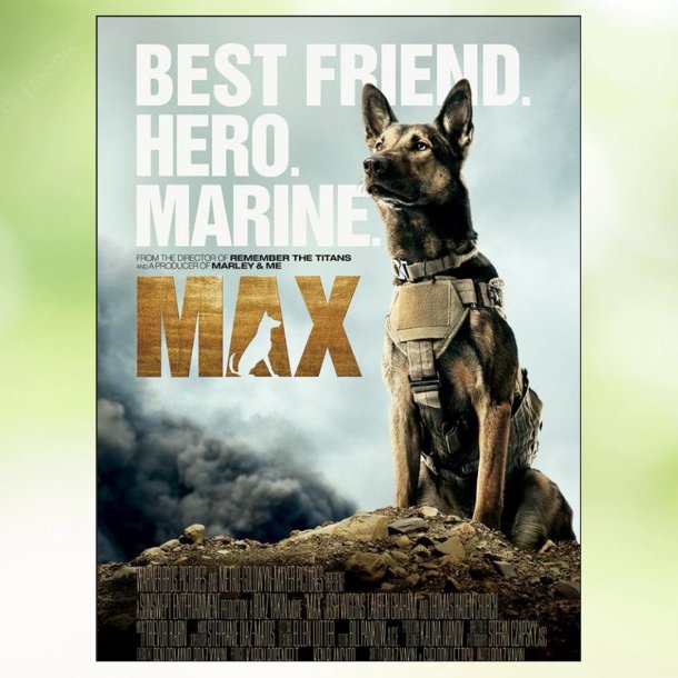 Max (2015)