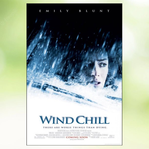Wind Chill (2007)