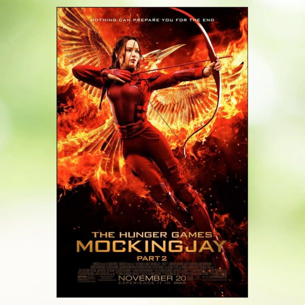 The Hunger Games: Mockingjay - Part 2 (2015)