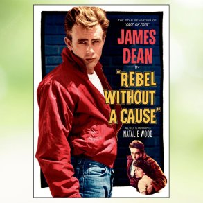 Rebel Without a Cause (1955)