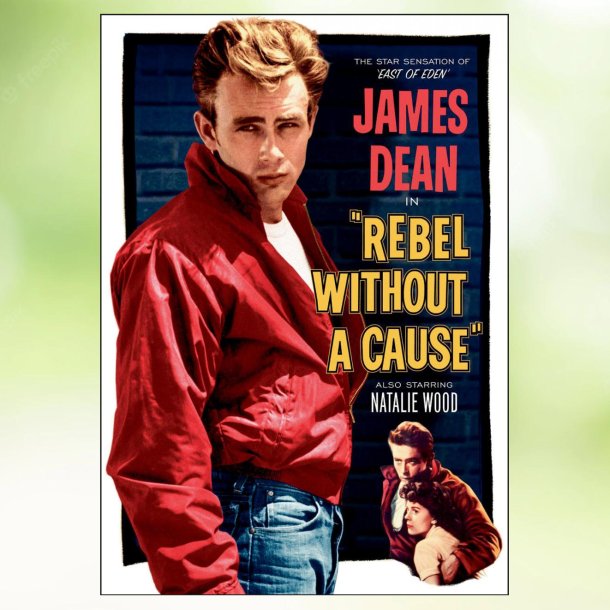 Rebel Without a Cause (1955)