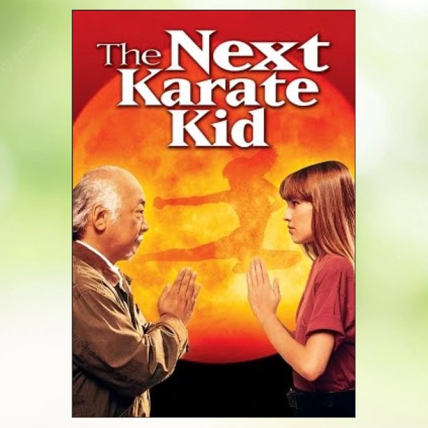 The Next Karate Kid (1994)