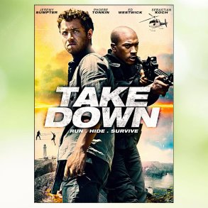 Take Down (2016)