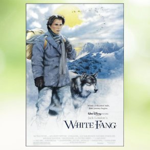 White Fang (1991)