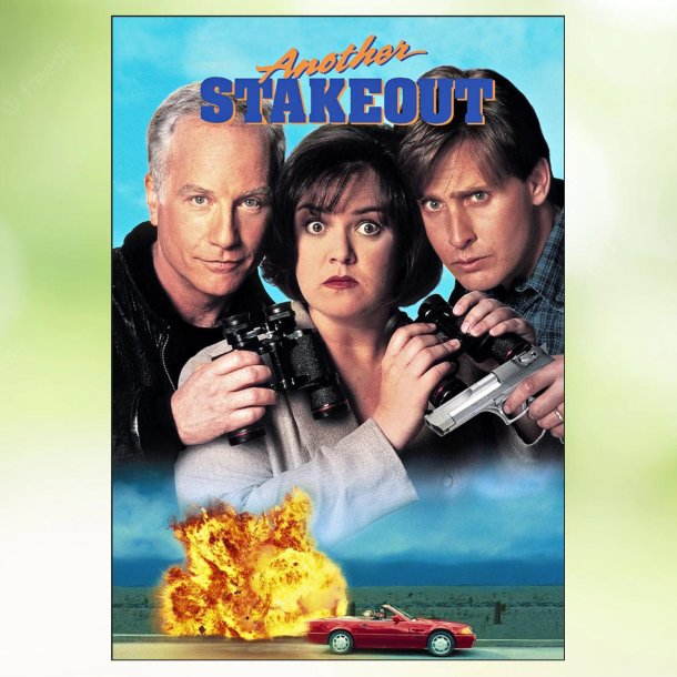 Another Stakeout (1993)