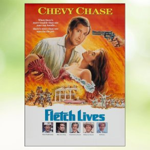 Fletch Lives (1989)