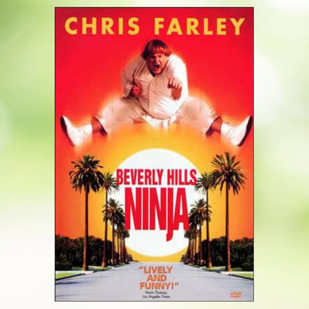 Beverly Hills Ninja (1997)