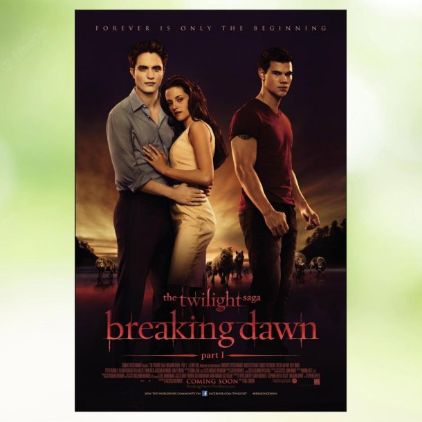 The Twilight Saga: Breaking Dawn - Part 1 (2011)