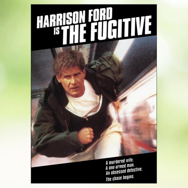 The Fugitive (1993)