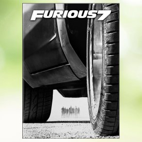 Furious Seven (2015)