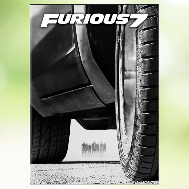 Furious Seven (2015)