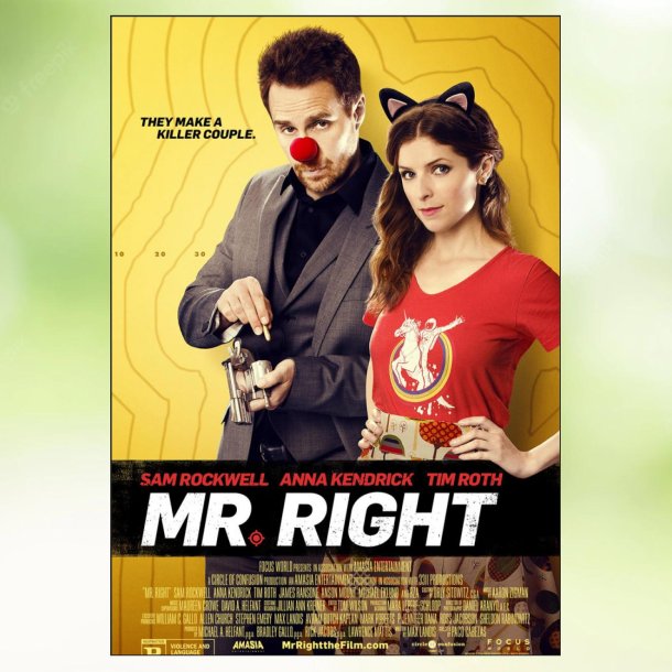 Mr. Right (2015)
