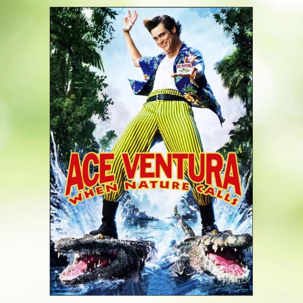 Ace Ventura 2 - When Nature Calls (1995)