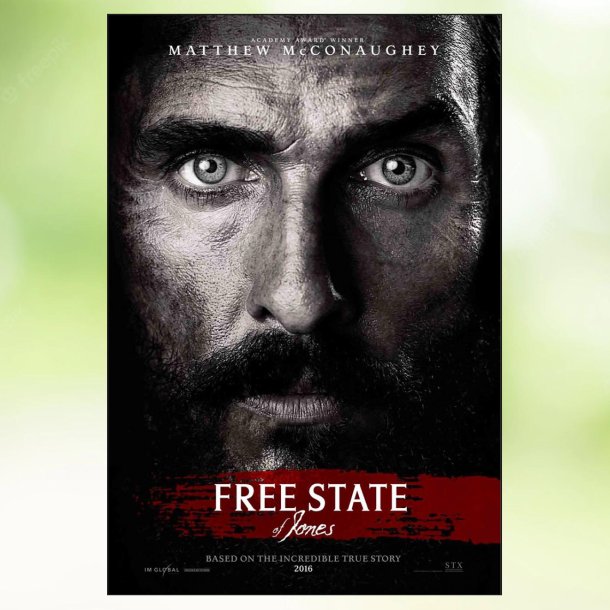 Free State of Jones (2016)