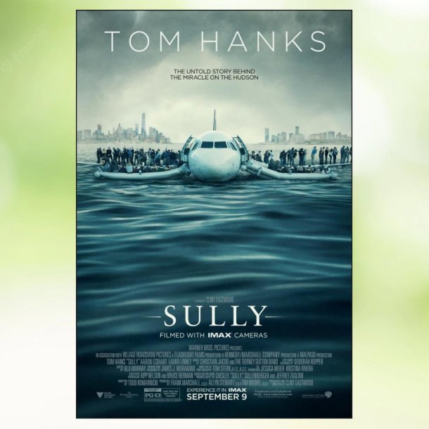 Sully (2016)