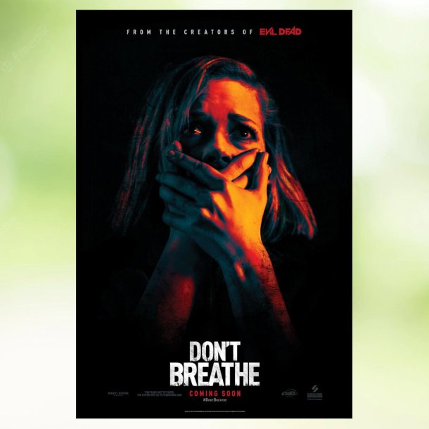 Don't Breathe (2016)