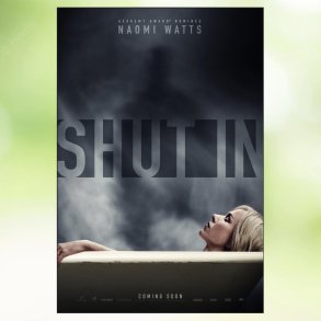 Shut In (2016)