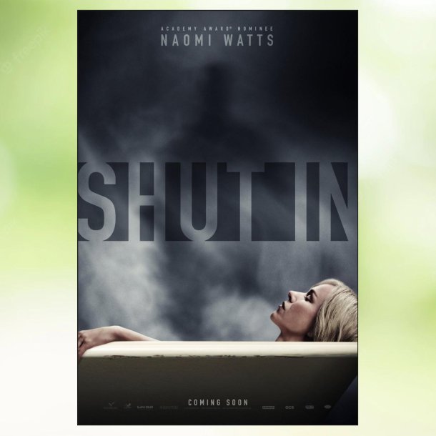 Shut In (2016)